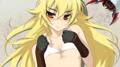 Full metal daemon muramasa Ashikaga Chachamaru