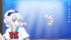 Full metal panic testarossa