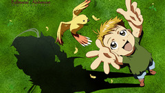 Fullmetal alchemist Elric Alphonse