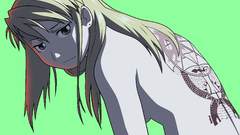 Fullmetal alchemist transparent riza