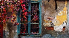 Fullsize can You resize