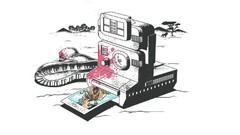 Funny Cameras safari minimalistic