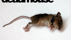 Funny deadmau5
