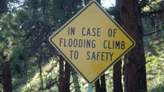 Funny hope and despair