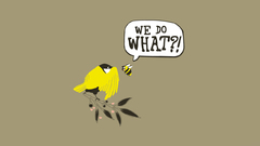 Funny The Bees Birds