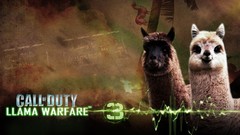 Funny video games llama