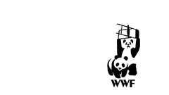 Funny wrestling panda bears World Wildlife Fund Glennz