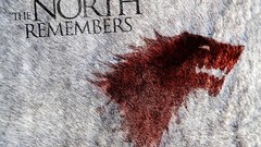 Fur Wolves game of thrones A Song of Ice and Fire direwolf 