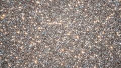 Future 2008 our believe depends powerfully