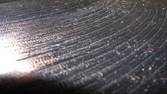 Gaga anyone have some