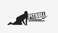 Galatasaray SK felipe melo