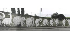 Gallery high frogview faa Resolution