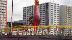 Galo da madrugada recife