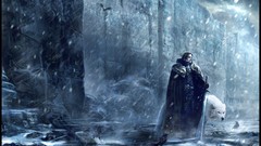 Game of thrones the wall jon snow direwolf Nights Watch