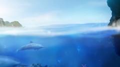 Games video games Ecco the Dolphin