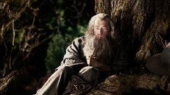 Gandalf the lord of
