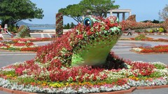 Garden Frogs gardening