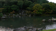 Garden Kyoto