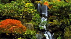 Garden Oregon Portland Japanese