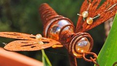 Garden rust rusted Butterflies