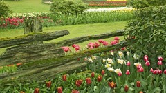 Garden Washington Flower wall valleys