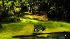 Garden Zen Andrea andrade