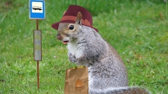 Gardensquirrelhandbag