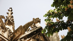 Gargouille de glise saint