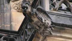 Gargoyle on Cathedral high