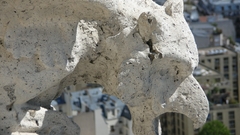 Gargoyle sacre coeur high