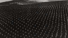 Gelatin silver Print 1937