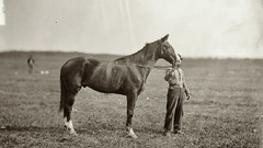 George meade horse baldy