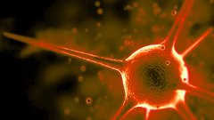 Germ abstract orange glow