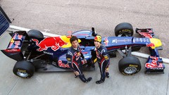 German Red Bull Australian
