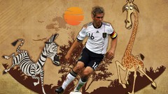 Germany Animals zebras Africa