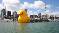 Giant Inflatable artwork rubber ducks