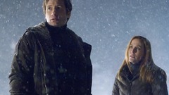 Gillian Anderson and David