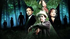 Gillian Anderson David duchovny