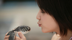 Girl turtle asian