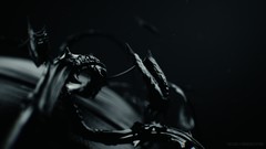 Girl with the Dragon Tattoo