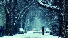 Girl Women winter season