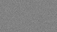 GirlJoy My neighbour Mp3