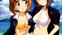 Girls und panzer