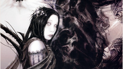 Gladius egil paulsen black