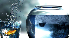 Glass aquarium fish abstract