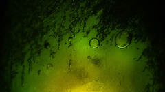 Glass dream photo agree