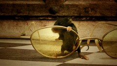 Glasses mice point of view Lemmy X