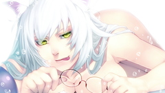 Glasses nekomimi bakemonogatari animal