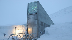 Global seed vault