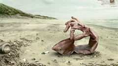 Glove high Resolution surfrider